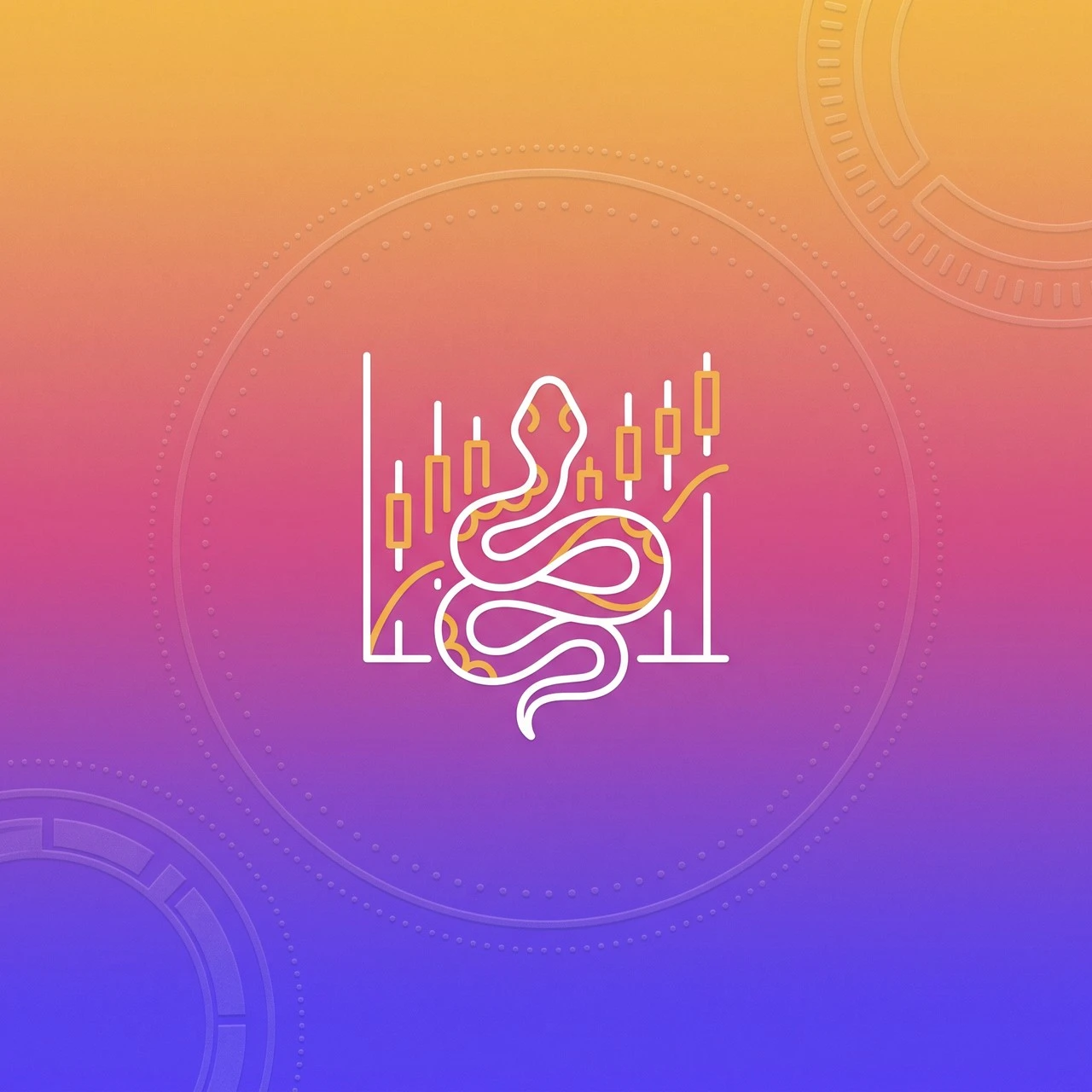 Navigating Financial Data with Python