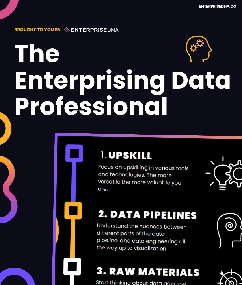 The Enterprising Data Professional Cover